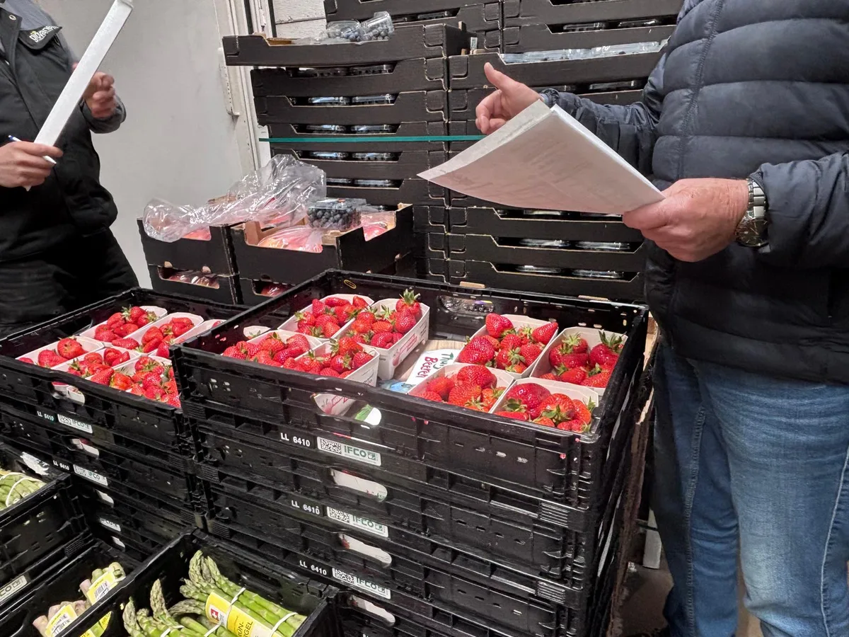 Mehrere Kartons mit Erdbeeren.